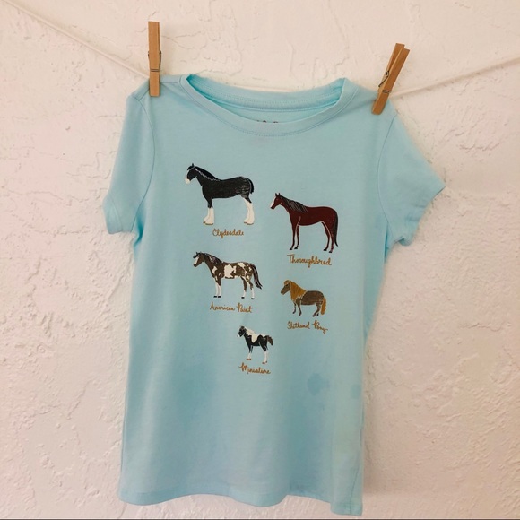 NWT Gymboree Creative Types Owl Girls Blue Long Sleeve Shirt 2T 3T